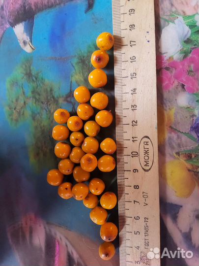 Облепиха саженцы, свежие ягоды