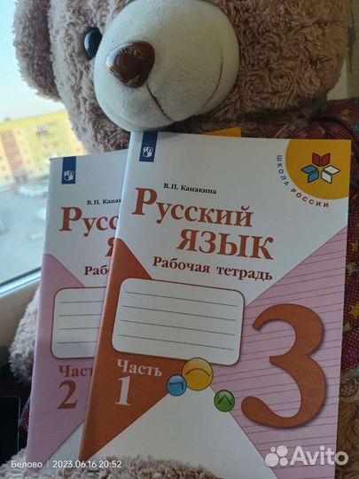 Рабочие тетради 3 класс
