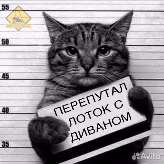 Химчистка мягкой мебели и ковров