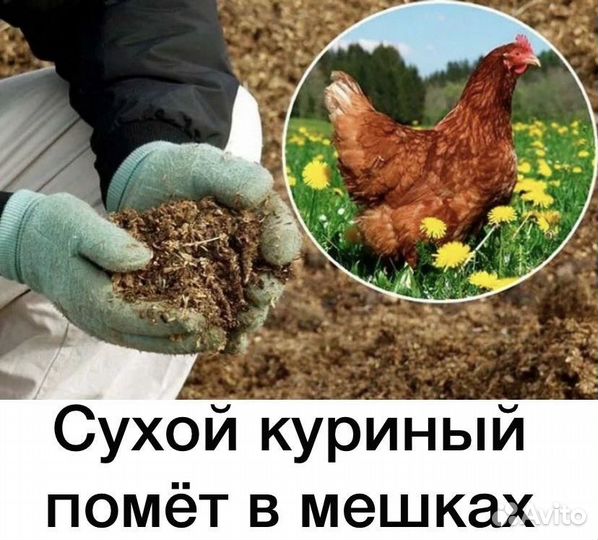 Куриный помет