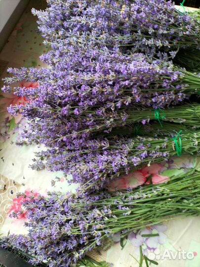 Букет лаванды