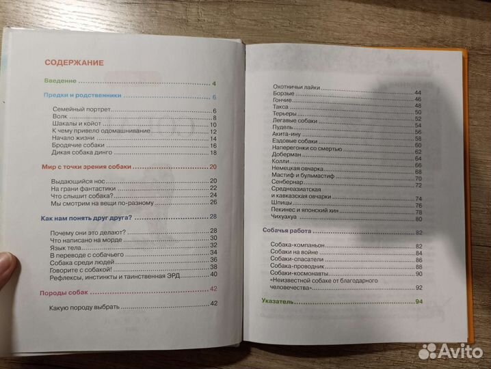 Детская энциклопедия росмэн собаки