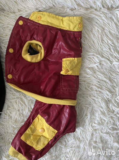 Одежда для маленьких собак