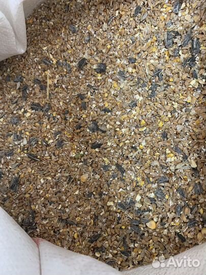 Комбикорм и зерно