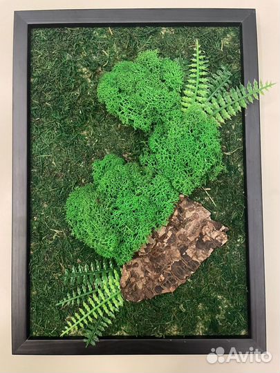 Фитокартина из мха