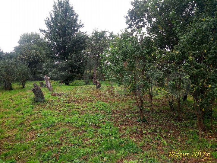 Участок 20 сот. (ИЖС)