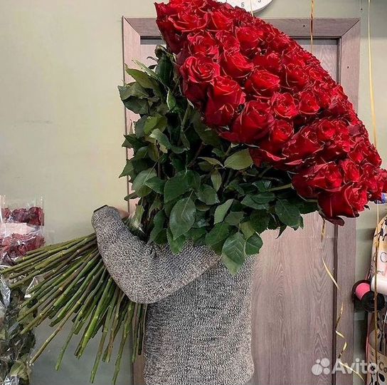 Розы Букеты Цветы Розы 31 101 151 201 Доставка