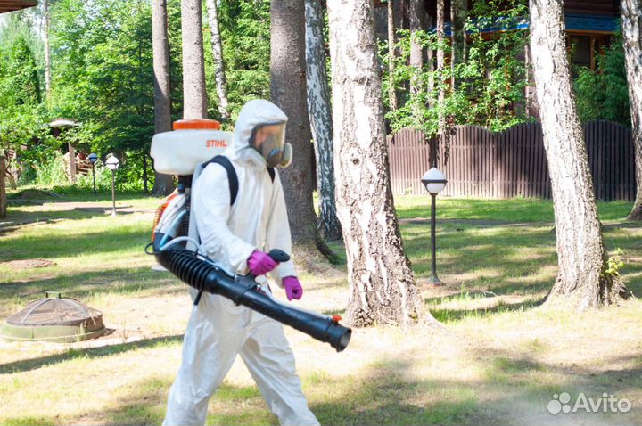 Уничтожение тараканов, травить клопов, обработка