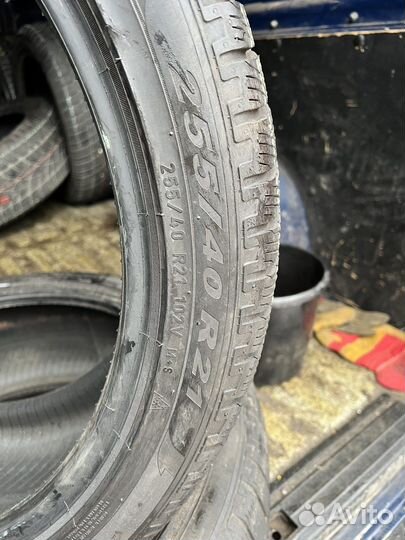 Pirelli Scorpion Winter 255/40 R21 102V
