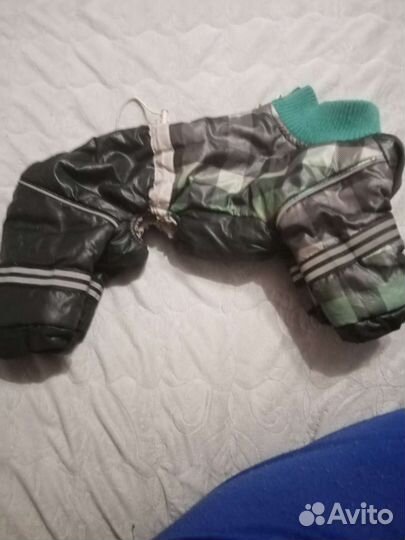 Комбенизон для собаки