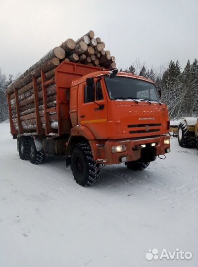 КамАЗ 43118, 2017