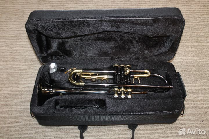 Труба Roy Benson TR-101K