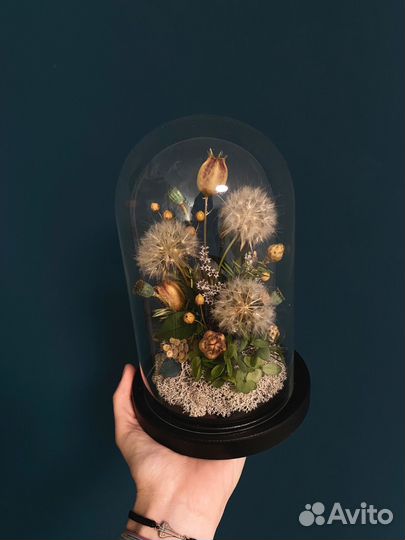 Клош с одуванчиками, стабилизированными цветами