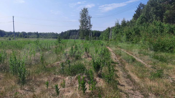 Участок 10 сот. (СНТ, ДНП)