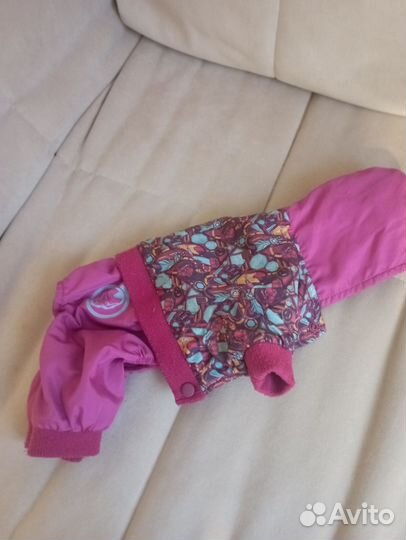 Костюм для маленькой собаки