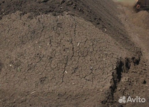 Чернозем Перегной