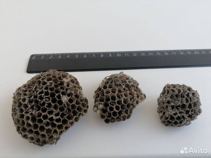 Осиное гнездо для поделок