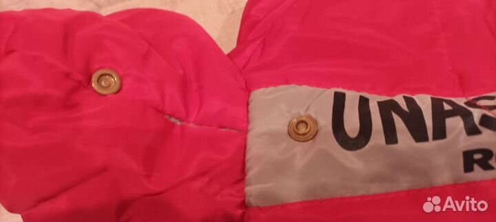 Зимняя одежда и обувь для кошки или собаки