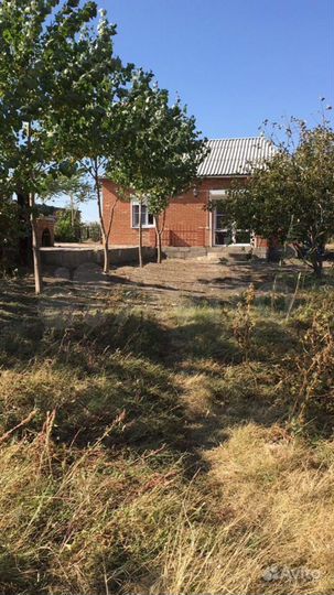 Дом 50 м² на участке 100 сот.