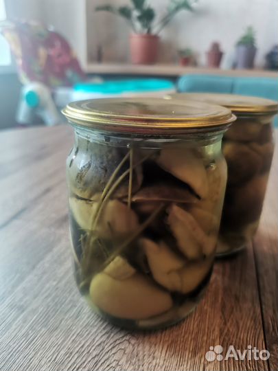 Белый гриб маринованый