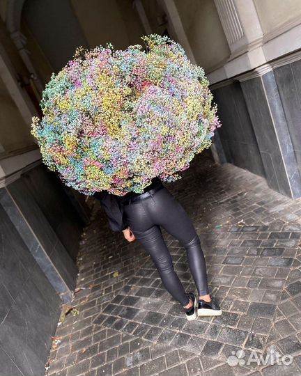 Гипсофила с WOW-эффектом