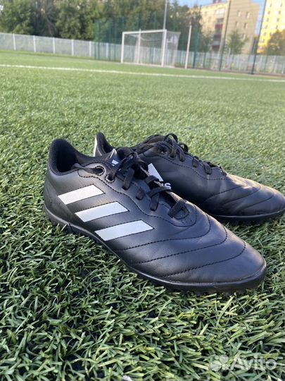 Бутсы adidas Goletto