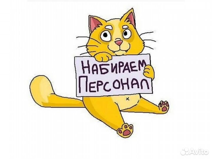 Вахта Ждем Грузчика Отл. Усл. Б/опыта