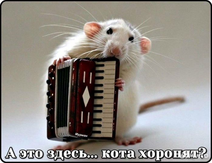 Ведущая.Тамада.Диджей.Юбилей.Свадьба