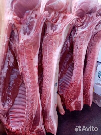 Мясо свинина полутуши