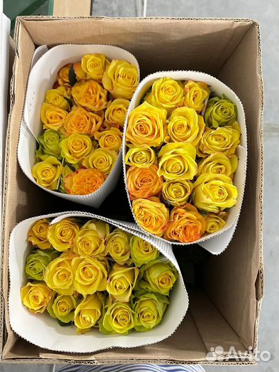 Розы,пионы опт