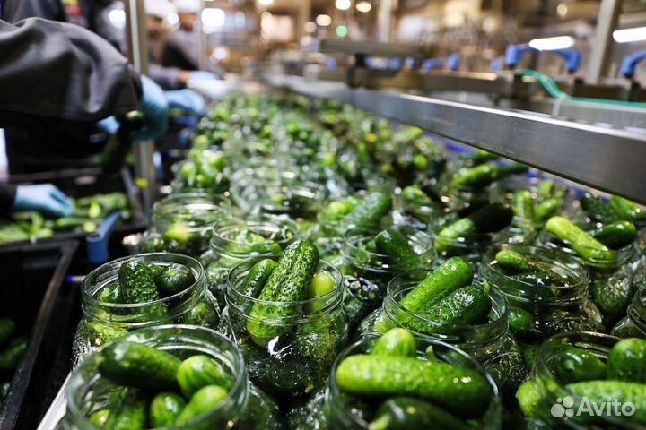 Работа упаковщица