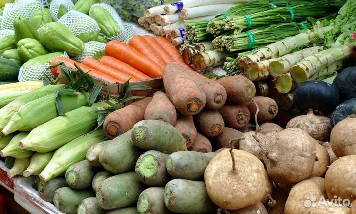 Корм для сельхоз животных