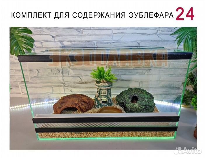 Террариумы с наполнением для рептилий, пауков