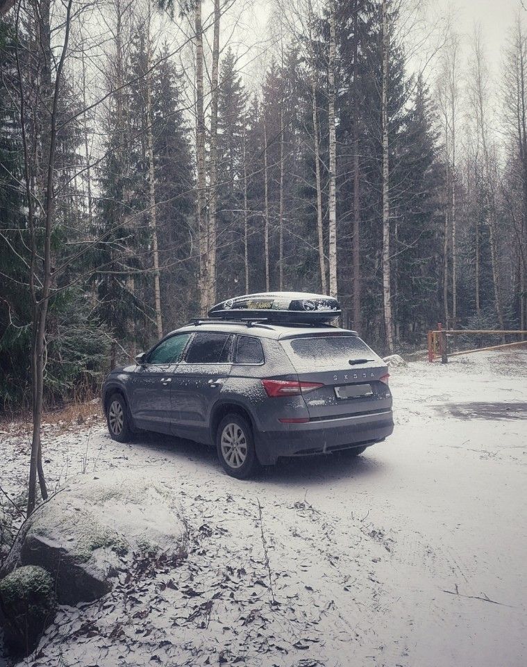 Skoda Kodiaq: фото владельца