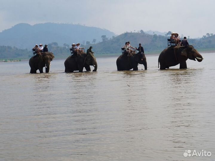 Нячанг Топ-Экскурсия Провинция Даклак и поселок Ли