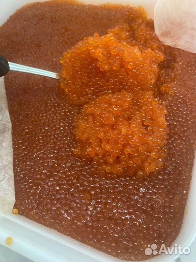 Красная икра Нерка,Кета,Горбуша 2023