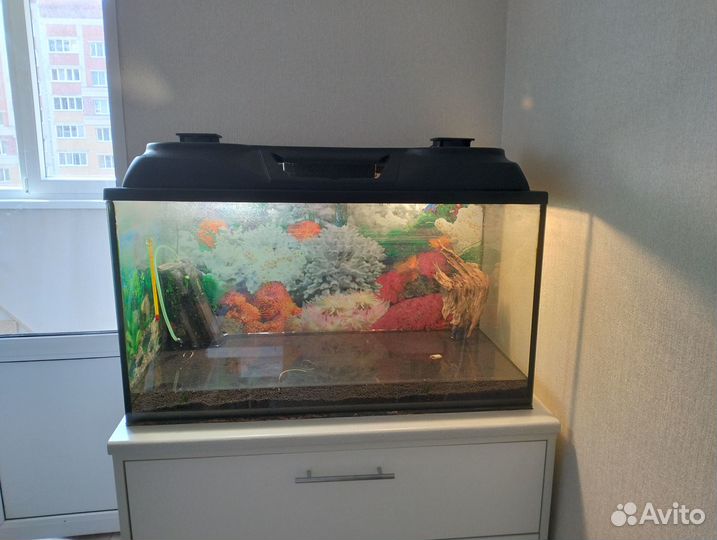 Аквариум 70 литров с оборудованием