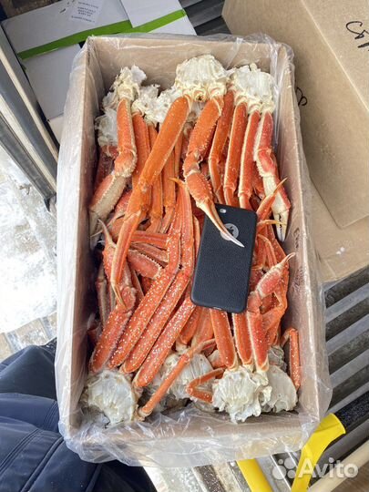 Конечности Краба Стригуна