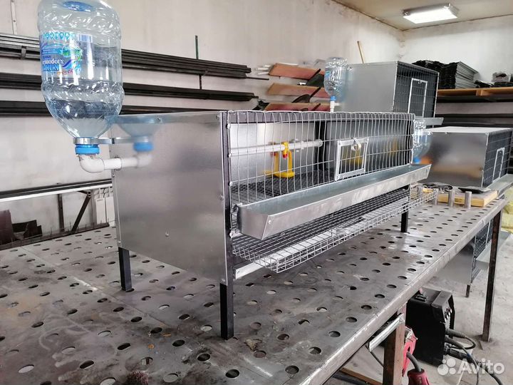 Клетки для перепелов