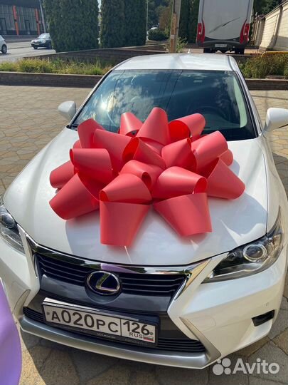 Бант на машину