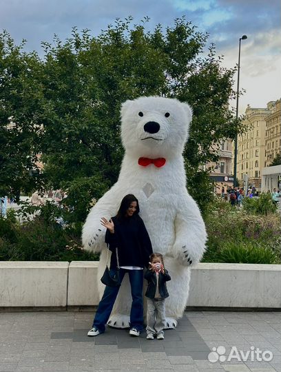 Белый мишка поздравление, ми ту ю, панда