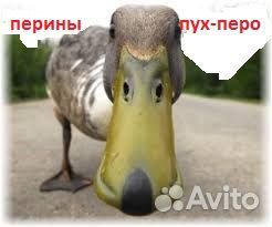 Центр приемки пух/перо