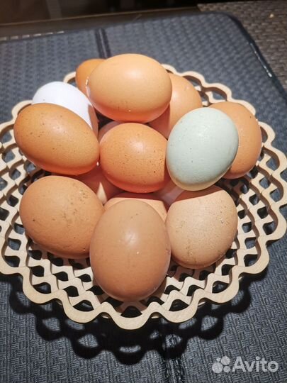 Домашние куриные яйца