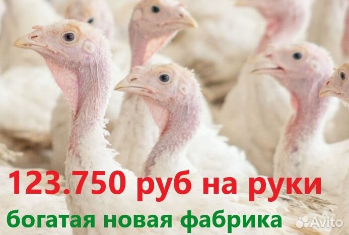 Вахта Везём от вашего дома Новьё Чисто и Без опыта
