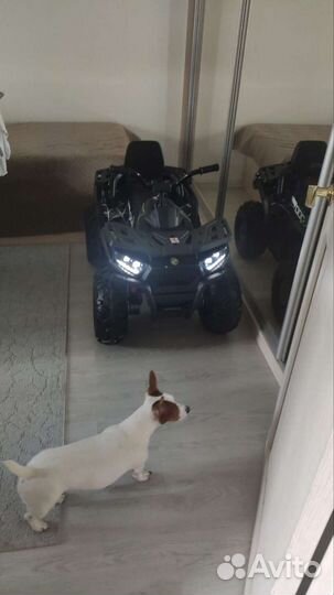 Детский квадроцикл