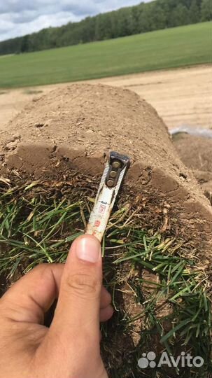 Рулонный газон (спорт, элит, стандарт)