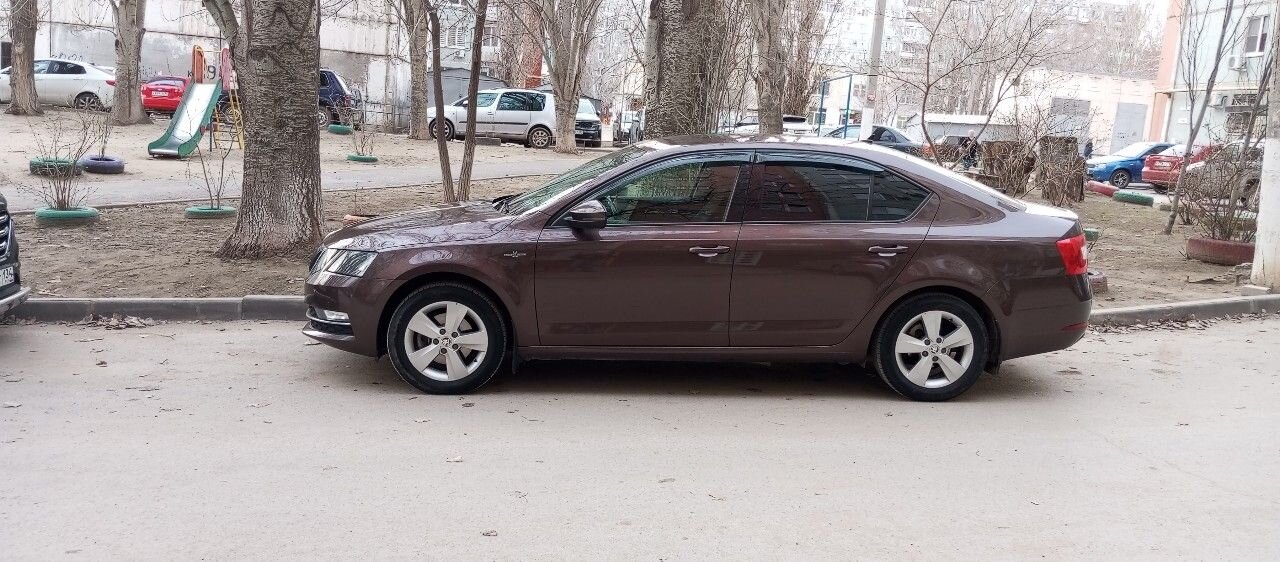 Skoda Octavia: фото владельца