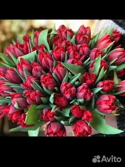 Цветы Доставка Букет