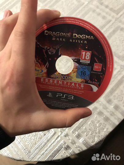 Dragons dogma dark arisen