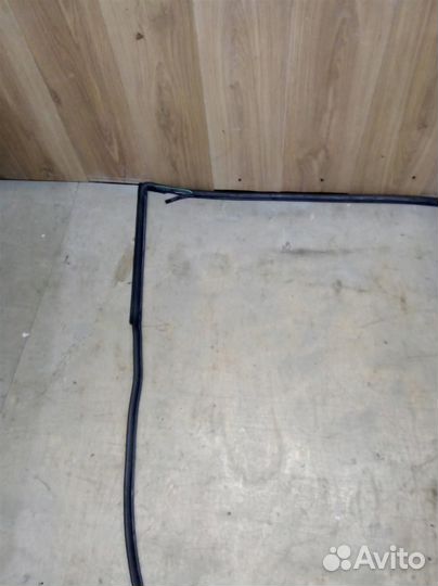 Уплотнитель двери передней левой от Chevrolet Cap